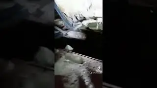 27 июля 2024 г.