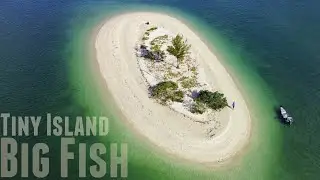Tiny Island, BIG Fish! | Gheenoe LT25