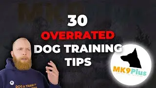 OVERRATED: The Worst Dog Training Advice/ Rules
