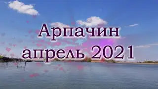 Отдых на Дону Арпачин апрель 2021. Выпуск №779