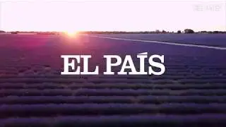 BRIHUEGA | Un dron muestra los campos de lavanda de este municipio de Guadalajara