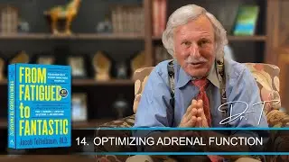 Dr. Teitelbaum on Optimizing Adrenal Function (Part 14 of 30)