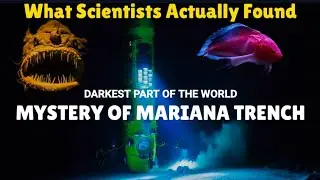 The Mystery of Mariana Trench| World's Deepest Darkest Crevice with 'Alien' Life