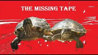 What Happened to the Tub and the Tape?