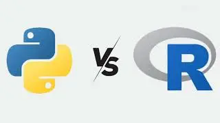 Python vs R Which is BETTER for Data Science in 2024?