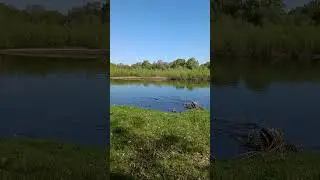 река Неман Беларусь