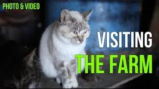Visiting the Farm | Photo & Video Documentation | Edit