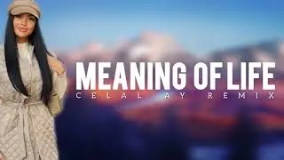 The Meaning Of Life   Inspiring Melody