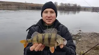 Весёлая рыбалка с друзьями!!! Ловля ОКУНЯ на живца с берега.
