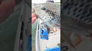 fishing fun 