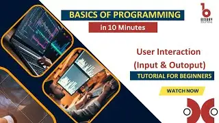 Mastering Python User Interaction is a GAME CHANGER! 