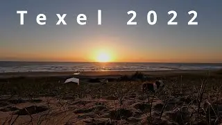 Insel Texel / Nordsee