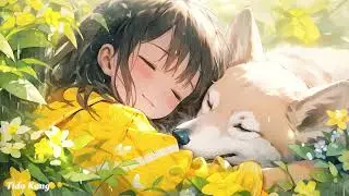 Dog Music to go to Sleep🐶💖 Relax for Dogs. Calm Down your Barking Dog, Relaxing Sleep Music