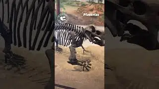 Placerias: Chonky Herbivore that Roamed the Late Triassic Period