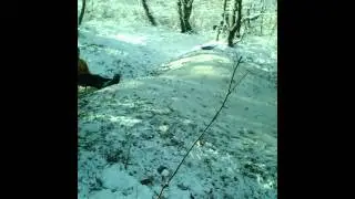 Прижок на санах)