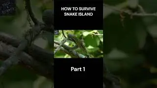 HOW TO SURVIVE SNAKE ISLAND Part 1  #ytshorts #shorts