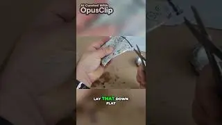 How to Cut a Straight Line with Scissors  Tips and Techniques