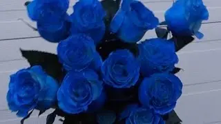Как сделать  синие розы?