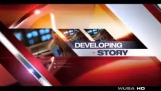 Giant Octopus News Demo Reel