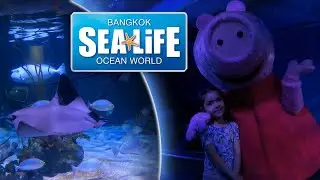 SEA LIFE Bangkok Ocean World - Peppa Pig's Aquarium Adventure
