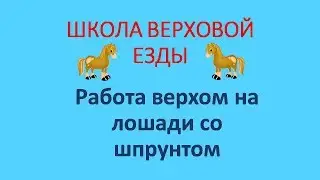 Работа верхом на лошади со шпрунтом