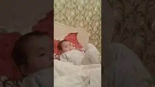 Гаука ложиться спать
