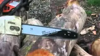 Slow Motion down on the Farm