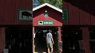 HOPKINTON STATE FAIR ~ CONTOOCOOK, NH (Part 3)  8/29- 9/2, 2024 #statefair #newhampshire