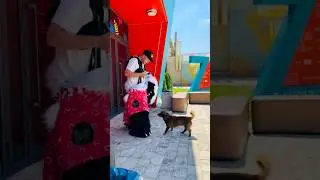 Человек собаке друг! Встретили песика во время подготовки к поздравлению с днем рождения! 