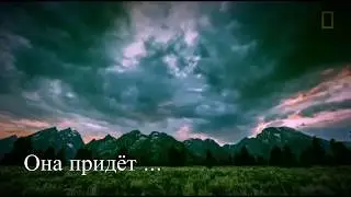 Экзамен в могиле