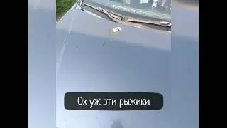полная покраска хендай элантра