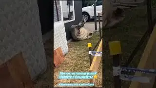 Пишите в комменты что хотите видеть в ролике