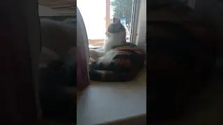 ХАХПХПХПХПХАХПАХАХАХПХП