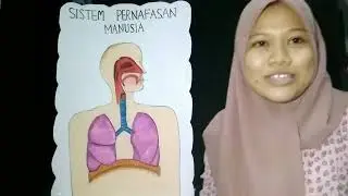 Media Pembelajaran Sistem Pernapasan Manusia