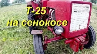 Т - 25 с косилкой, начало сенокоса