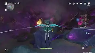 Genshin Impact (Shriveled Seed)