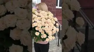 Российские кустовые розы Таня#shorts
