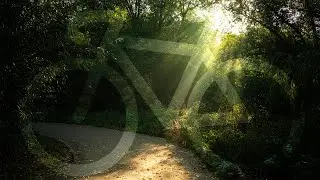 Утренняя прогулка на велосипеде и красивые фотографии
