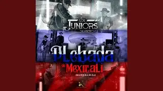 La Plebada De Mexicali (Bandera Rusa)