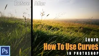 DEFEAT Your FEAR ... Of PHOTOSHOP! Get Started With Curves | Photoshop Tutorial
