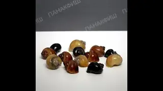 Ампулярия ассорти разноцветные (Pomacea bridgesii)