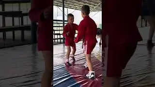 Борьба в разных категориях