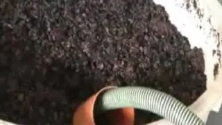 In vino veritas
