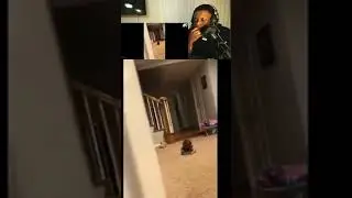 doll is possessed by a demon #reaction #possessed #jump #demon #shorts