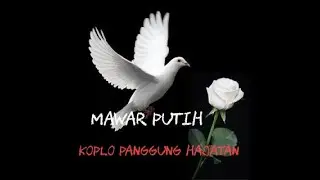 Mawar putih dangdut koplo panggung