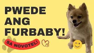 NOVOTEL sa ARANETA ang Pet FRIENDLY na HOTEL! Di namin akalain pwede pala!