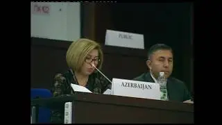 Committee on Democracy, Human Rights and Humanitarian Questions - Bahar Muradova