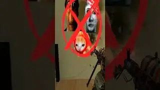 Someone Asked Me To Kill All Nextbot