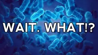 Scientists Found The Origin Of Life?!