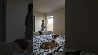Радость когда живёшь в Техасе😅